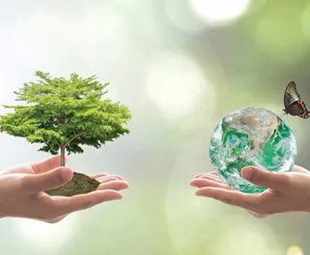Environment